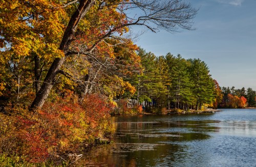 A serene lake surrounded by vibrant autumn foliage and trees reflecting on the water's surface.