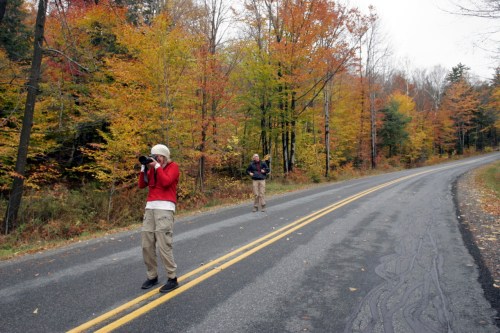 Two photographers on a scenic road surrounded by colorful autumn trees.
