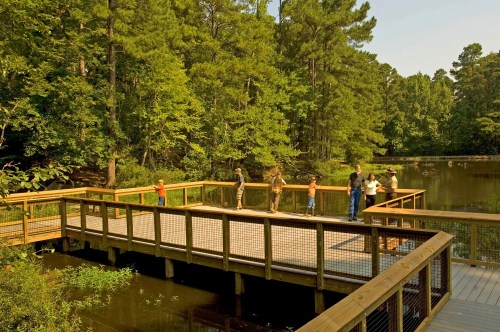 A wooden deck by a serene pond, with several people enjoying nature among lush green trees.