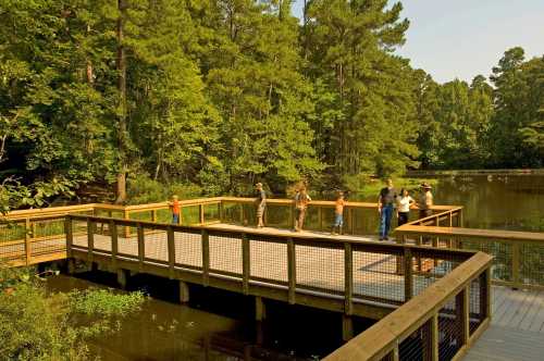 A wooden deck by a serene pond, with several people enjoying nature among lush green trees.