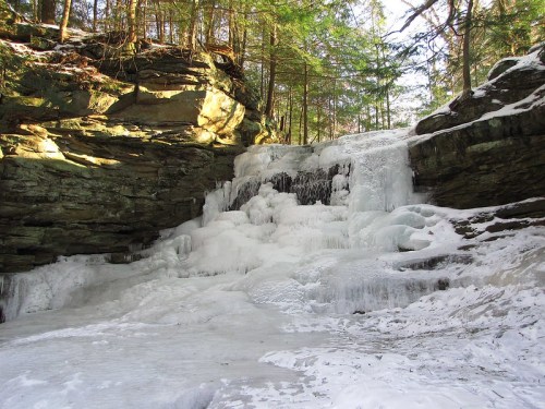 A frozen waterfall surrounded by rocky cliffs and evergreen trees, with ice and snow covering the ground.
