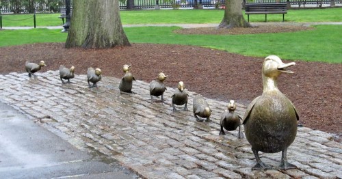 A line of bronze duck sculptures walking along a stone path in a park, surrounded by grass and trees.