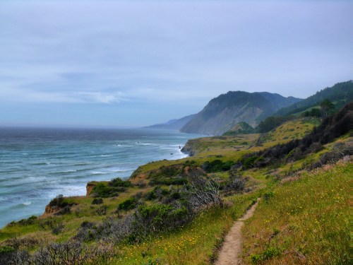 A scenic coastal view with cliffs, waves, and a winding path through lush greenery under a cloudy sky.
