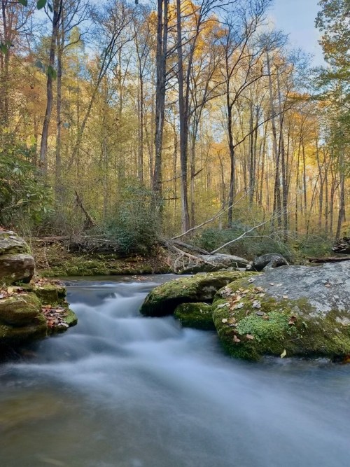 A serene stream flows over mossy rocks, surrounded by autumn trees with colorful leaves in a peaceful forest setting.