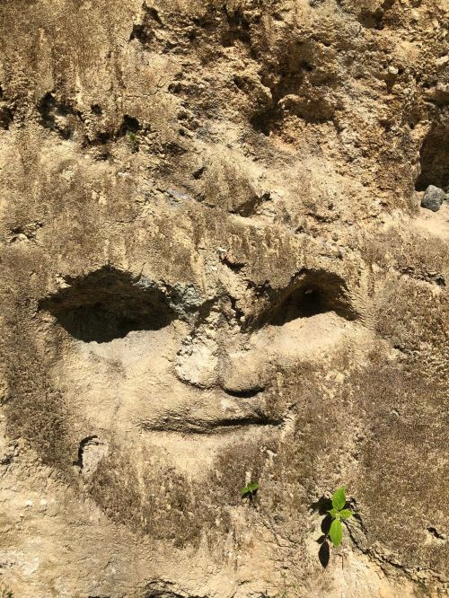 A weathered rock face resembling a human visage, partially covered in moss and surrounded by natural textures.