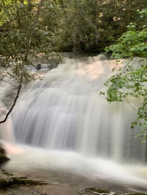 A serene waterfall cascading over rocks, surrounded by lush green foliage and soft sunlight filtering through the trees.