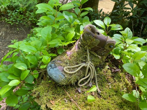 A worn hiking boot covered in moss and surrounded by green foliage in a natural setting.
