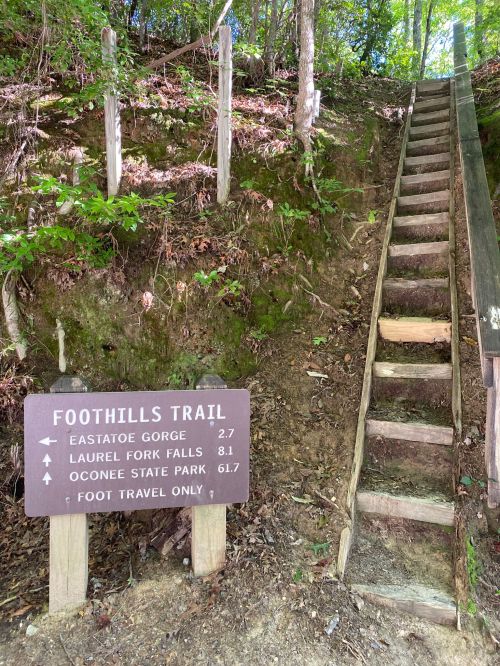 Sign for Foothills Trail with directions to nearby locations and a set of wooden stairs leading up through the forest.
