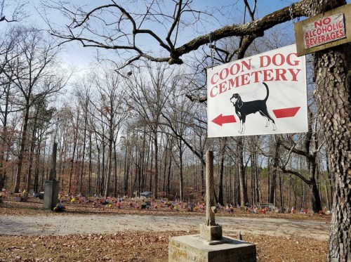 National Coon Dog Cemetery