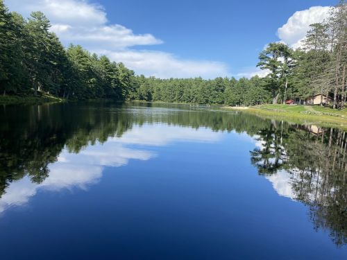 A serene lake surrounded by lush green trees, reflecting the blue sky and clouds above.