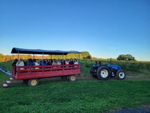 A red wagon filled with people is parked next to a blue tractor in a field with green crops under a clear sky.