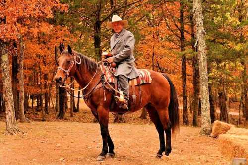 A man in a cowboy hat sits on a horse in a forest with autumn foliage, holding a book.