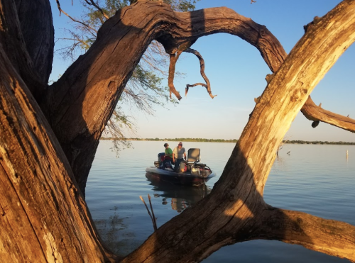 Two people in a boat on calm water, framed by a gnarled tree branch against a clear blue sky.