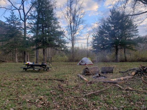 A campsite with a tent, picnic table, and fire pit surrounded by trees and fallen leaves under a cloudy sky.