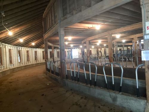 Interior of a barn with wooden beams, empty stalls, and dim lighting, creating a rustic agricultural atmosphere.