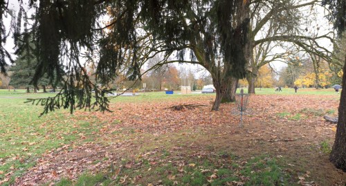 A park scene with fallen leaves, trees, and people walking in the background on a cloudy day.