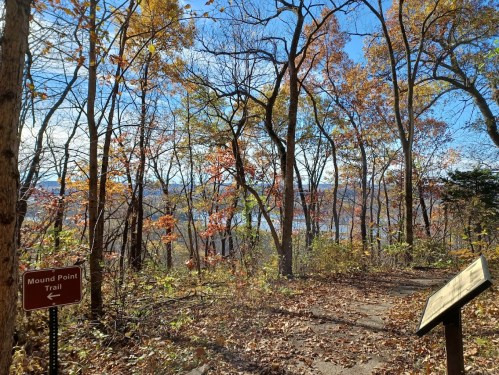 A scenic view of a wooded trail with autumn leaves, leading to a river in the distance under a clear blue sky.
