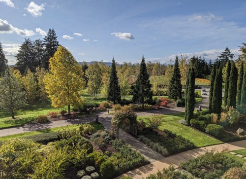 A scenic view of a landscaped garden with trees, shrubs, and a clear blue sky in the background.