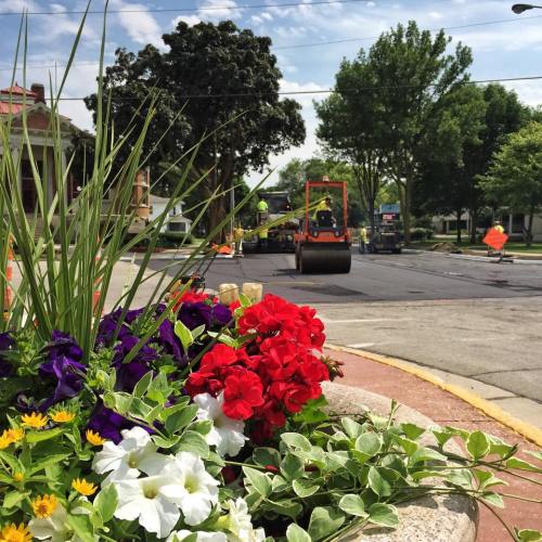 Colorful flowers in a planter with a road construction scene in the background, featuring workers and machinery.
