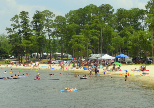 A busy beach scene with people sunbathing, swimming, and relaxing under umbrellas by a lake surrounded by trees.