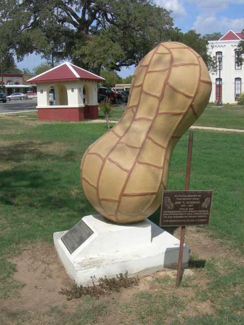 A large peanut sculpture on a grassy area, with a plaque nearby and a gazebo in the background.