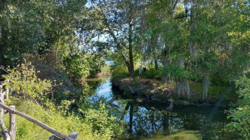 A serene waterway surrounded by lush greenery and trees, reflecting the blue sky above.