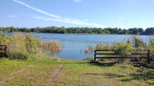 A serene lake surrounded by greenery and tall grasses under a clear blue sky.
