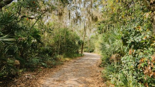A serene gravel path winding through lush greenery and trees, with dappled sunlight filtering through the leaves.