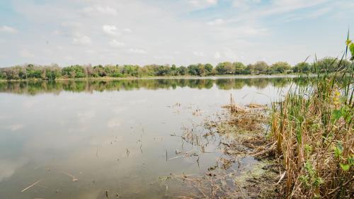 A calm lake reflects the sky, surrounded by lush greenery and tall grasses along the shore.