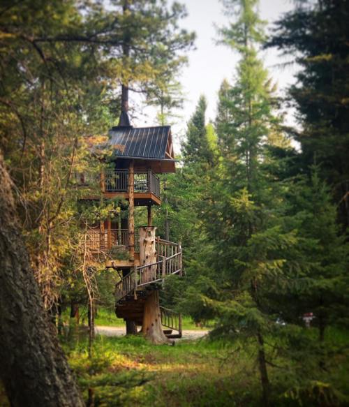A whimsical treehouse with a spiral staircase, nestled among tall green trees in a serene forest setting.