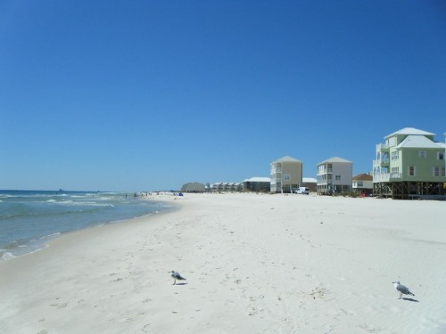 A sandy beach with gentle waves, lined by colorful beach houses under a clear blue sky. Seagulls are scattered along the shore.