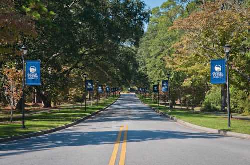 A tree-lined road with blue banners on lamp posts, leading into a park-like area.