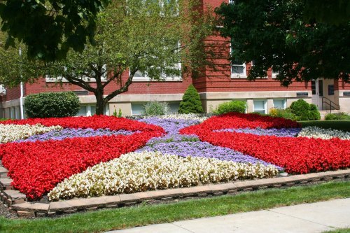 A vibrant flower bed arranged in a colorful pattern of red, white, and purple blooms in a landscaped area.