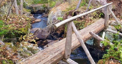 A wooden bridge spans a small stream, surrounded by rocks and trees in a serene forest setting.