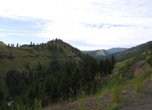 A scenic view of rolling green hills and trees under a partly cloudy sky.
