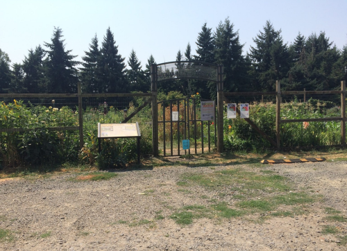 A gated entrance to a garden surrounded by tall trees and a gravel path. Signs are posted near the gate.