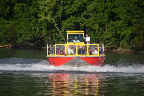 A colorful boat with passengers speeds across a calm lake, surrounded by lush green trees.