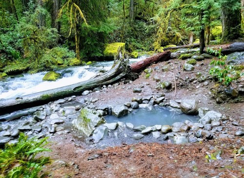 A serene forest scene featuring a small hot spring surrounded by rocks, with a flowing river and lush greenery nearby.