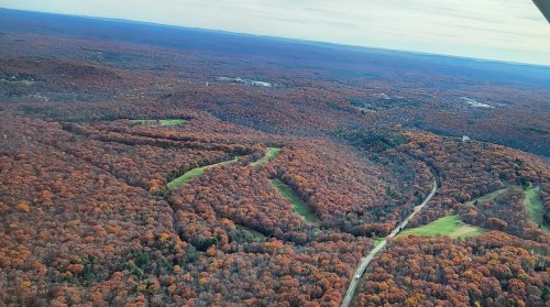 Aerial view of a forest in autumn, showcasing vibrant orange and red foliage with winding paths and open fields.