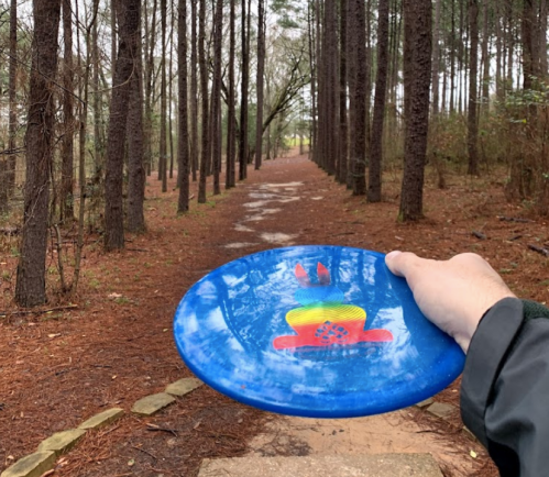 A hand holds a colorful frisbee in a wooded area with a dirt path lined by tall trees.