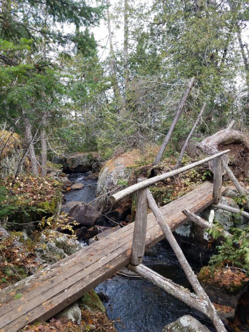 A wooden bridge crosses a small stream surrounded by lush greenery and rocky terrain in a forested area.