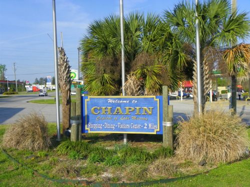 Welcome sign for Chapin, South Carolina, surrounded by palm trees and greenery, with nearby businesses visible.
