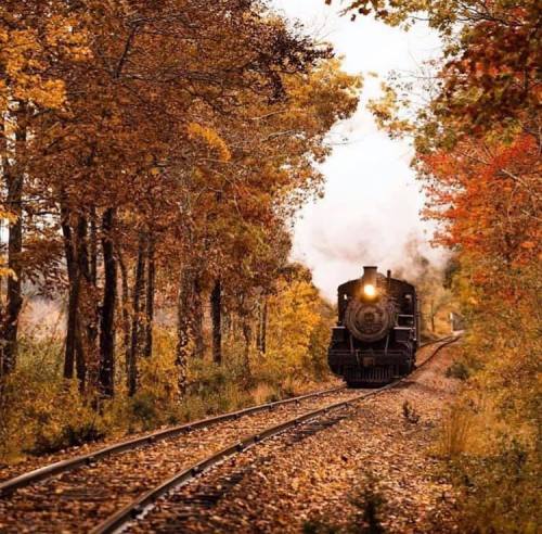 A vintage steam train travels along a winding track surrounded by vibrant autumn foliage.