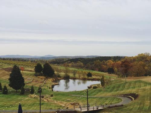 Scenic view of rolling vineyards, a pond, and autumn foliage under a cloudy sky.