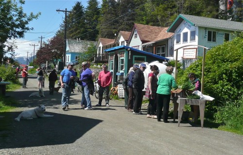 A bustling street scene with people shopping at a market, colorful houses, and a dog resting nearby.