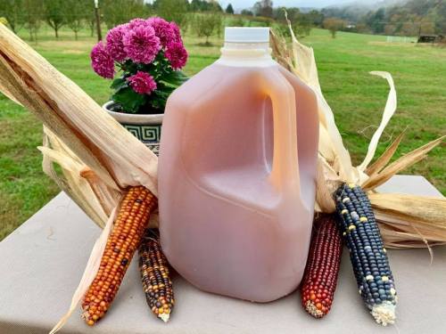 A jug of cider surrounded by colorful corn and a potted flower, set against a grassy field and trees.