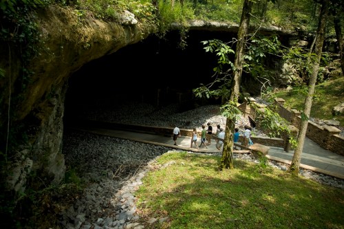 A group of people walks along a path leading to a dark cave entrance, surrounded by trees and rocky terrain.