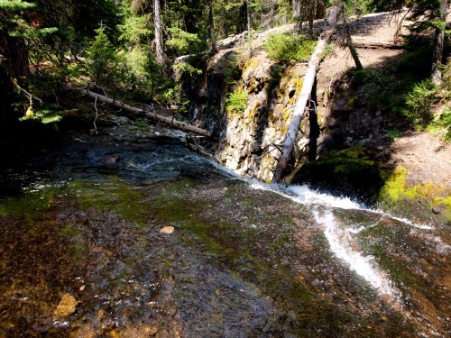A serene forest scene featuring a small waterfall cascading over rocks, surrounded by trees and greenery.