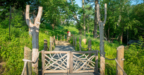 A wooden gate leads to a path surrounded by lush greenery and trees on a sunny day.