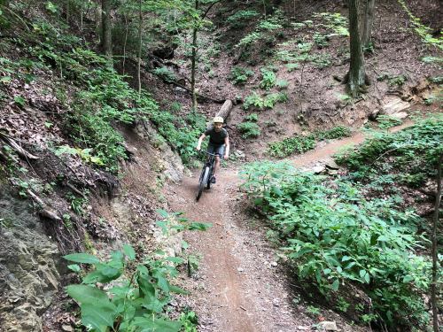 A person riding a mountain bike on a narrow trail surrounded by lush greenery and rocky terrain.